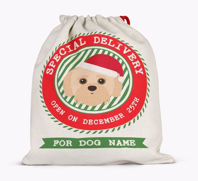 Special Delivery: Personalized {breedFullName} Santa Sack